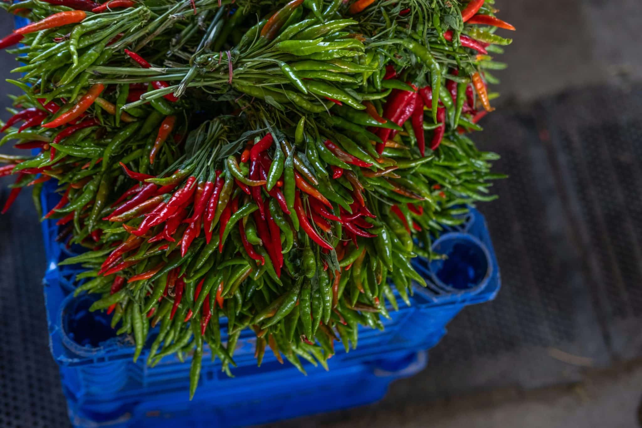 Cooking with Fresh Herbs from Your Garden