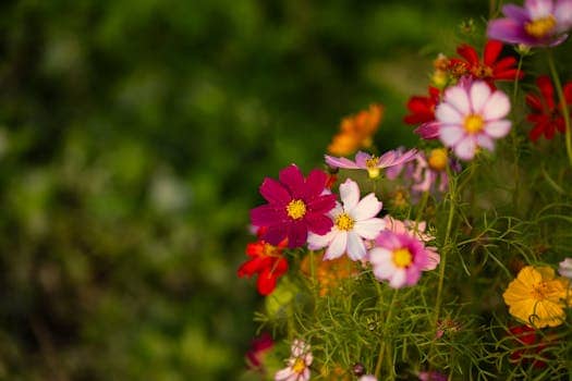 Wildflowers arranged in jars add natural beauty