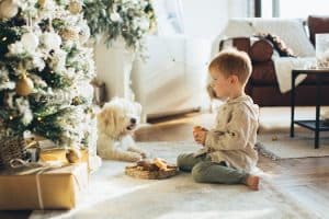 Pet Supplies: Surprising Trends This Year