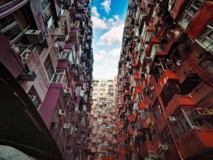Sunflowers on balconies brighten city apartments